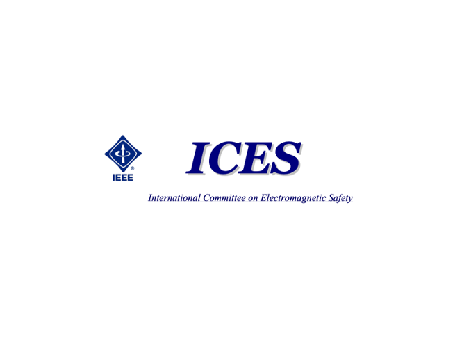 ICES Computational Dosimetry Workshop